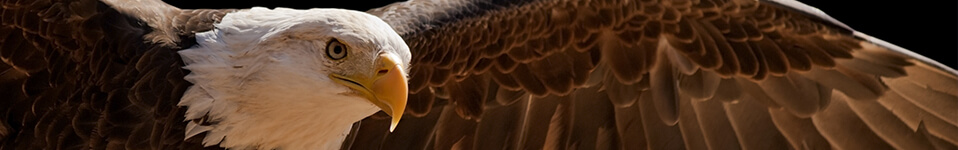 [Translate to Deutsch:] Seite wurde nicht gefunden